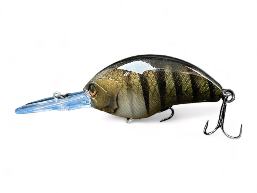 TNY-CRANK 38 Shad – Bild 7