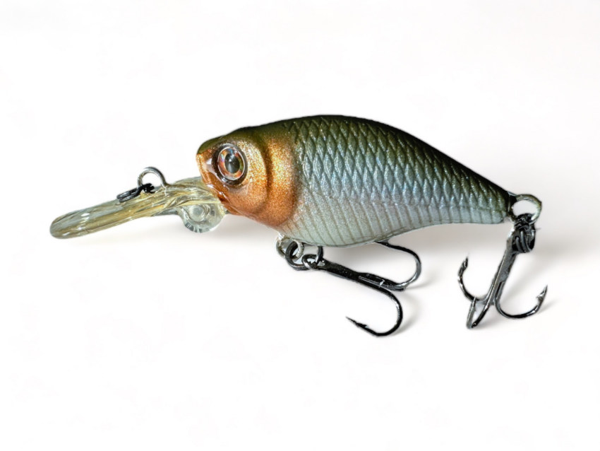 TNY-CRANK 38 Shad – Bild 5